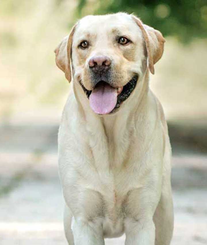 Portrait of Hope